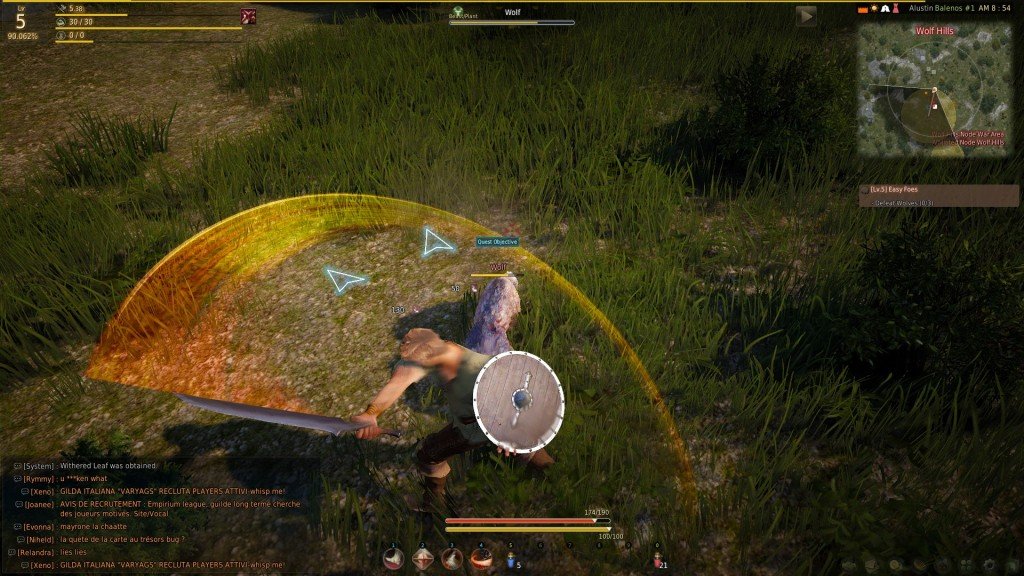 Black Desert Online