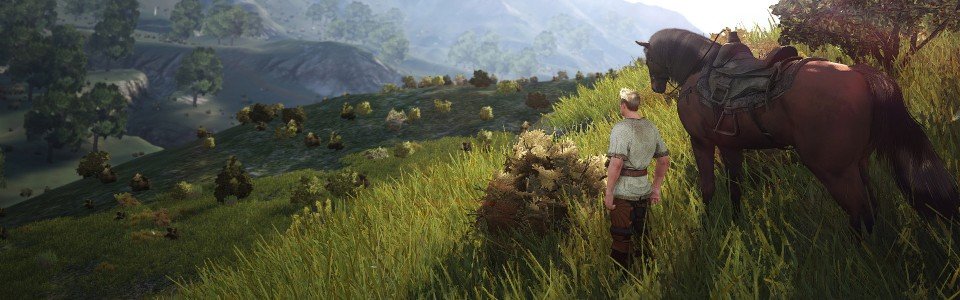 BLACK DESERT: NEW WORLD E NUOVO SERVER, OLVIA