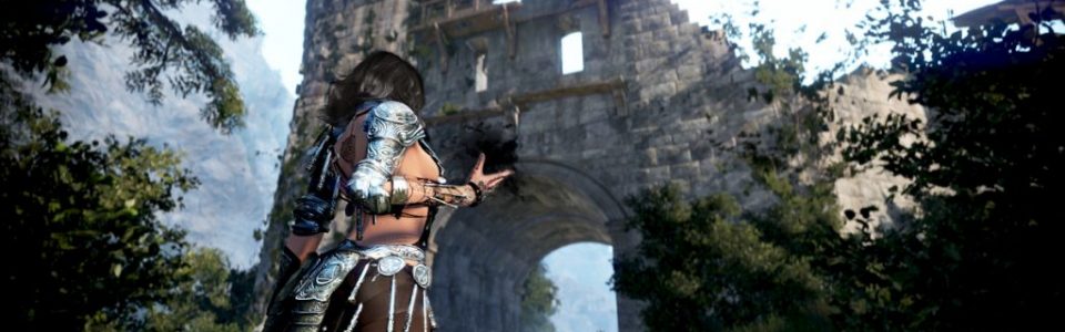 Black Desert uscirà su PS4 entro la fine dell’anno