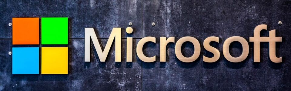 microsoft mmo.it activision blizzard mmo.it gioco survival blizzard mmo.it xbox gaming studios mmo.it microsoft licenziamenti 2024 xbox licenziamenti 2024