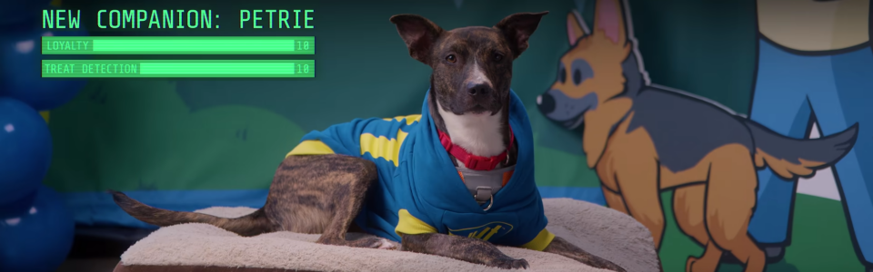 Fallout 76: svelato il nuovo update in arrivo, World Pets